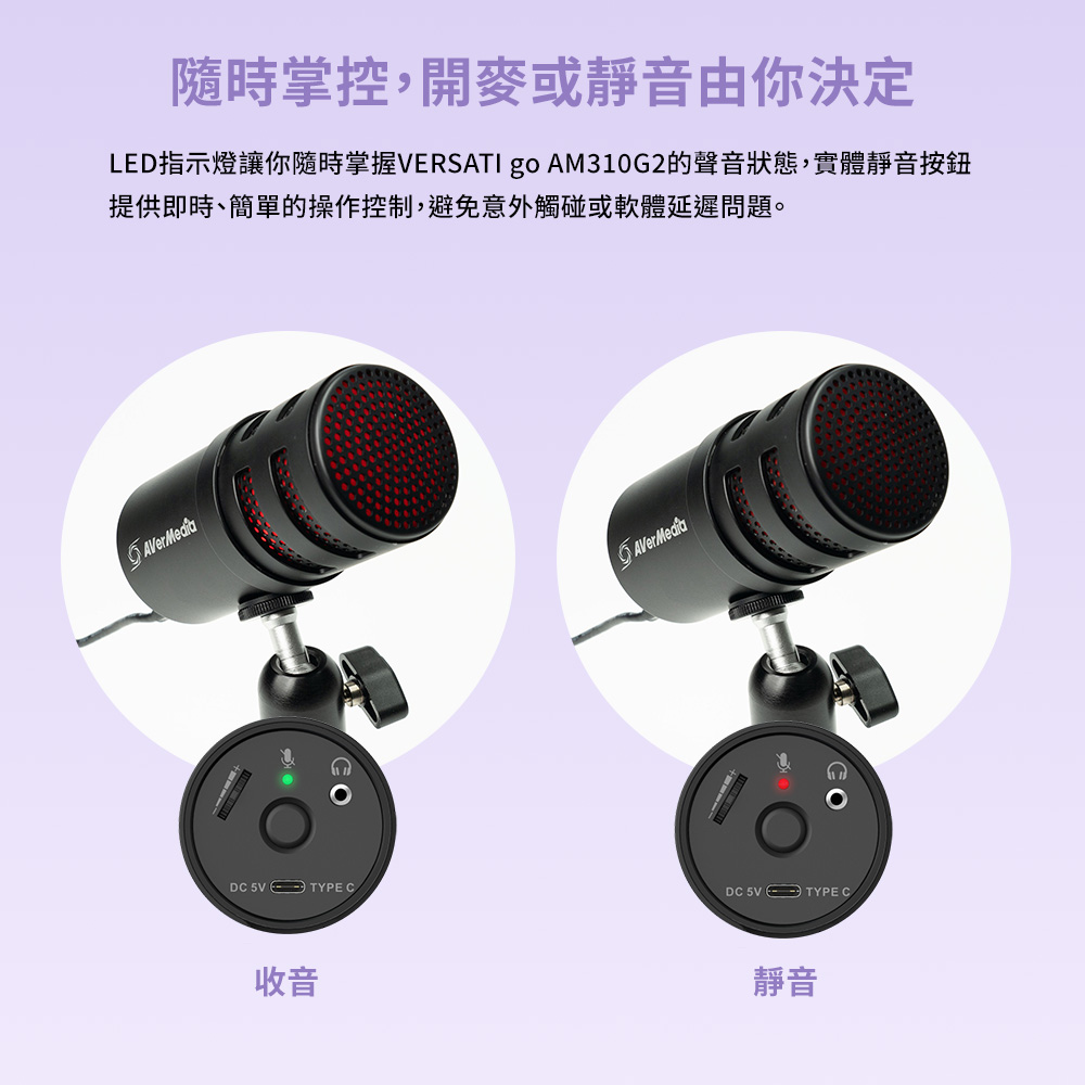 AverMedia圓剛 AM310G2 - 詳情10