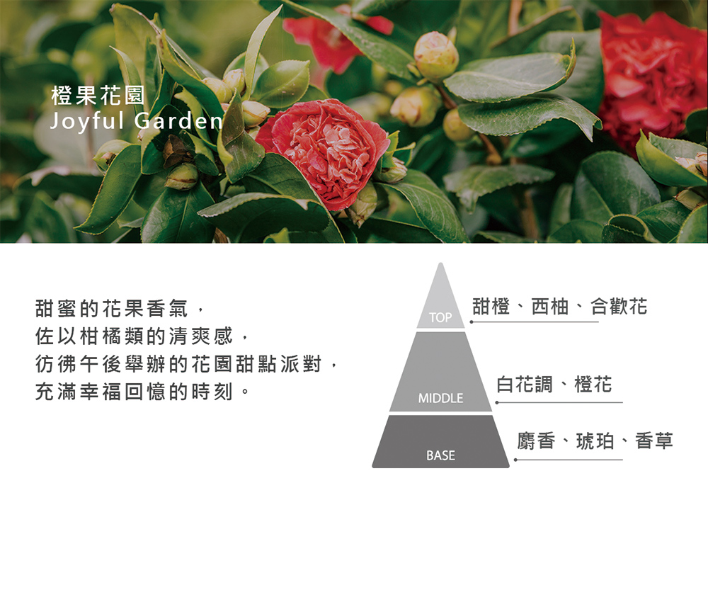 彷彿午後舉辦的花園甜點派對,