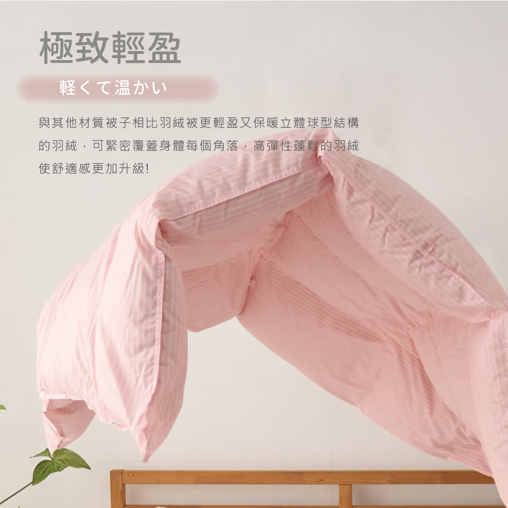 æ¥µè´è¼ç è»½æ¸© èå¶ä»æè³ªè¢«å­ç¸æ¯ç¾½çµ¨è¢«æ´è¼çåä¿æç«é«çåçµæ§ çç¾½çµ¨,å¯ç·å¯è¦èèº«é«æ¯åè§è½,é«å½æ§è¬é¬çç¾½çµ¨ ä½¿èé©ææ´å åç´ 