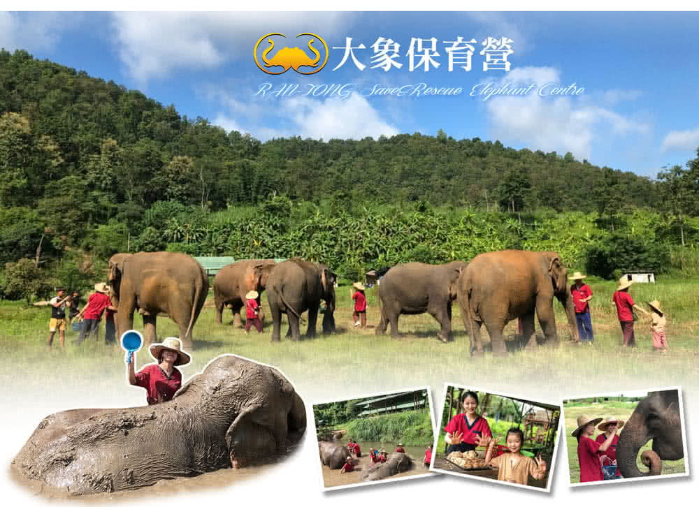 喜鴻假期 【雲端泰北雙城５日】無購物、五星住兩晚、友善大象營