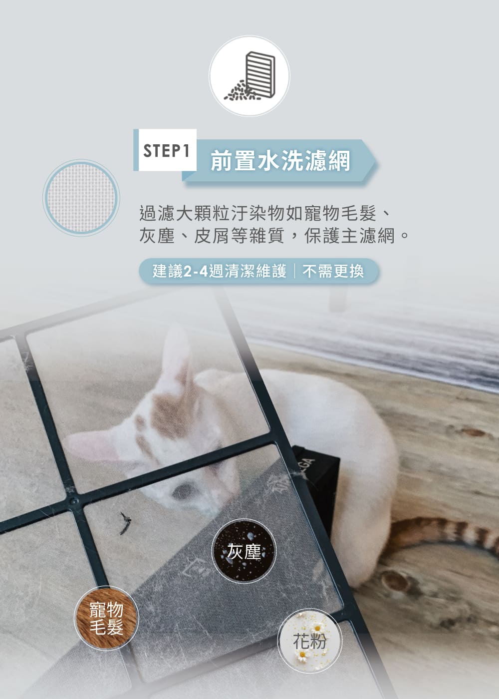 灰塵、皮屑等雜質,保護主濾網。
