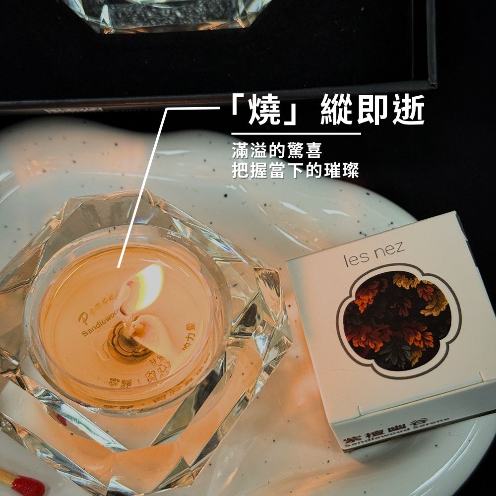 ææ¡ç¶ä¸ççç¨