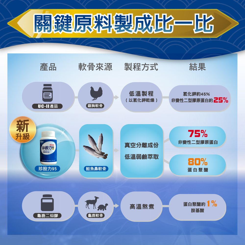 非變性二型膠原蛋白約25%