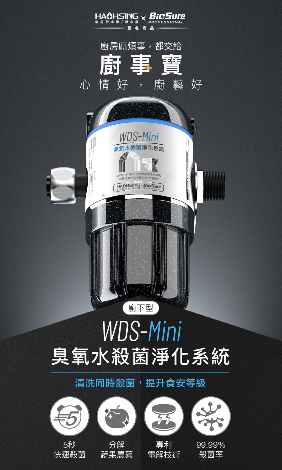 豪星廚事寶 WDS-Mini 臭氧水殺菌淨化系統 含標準安裝