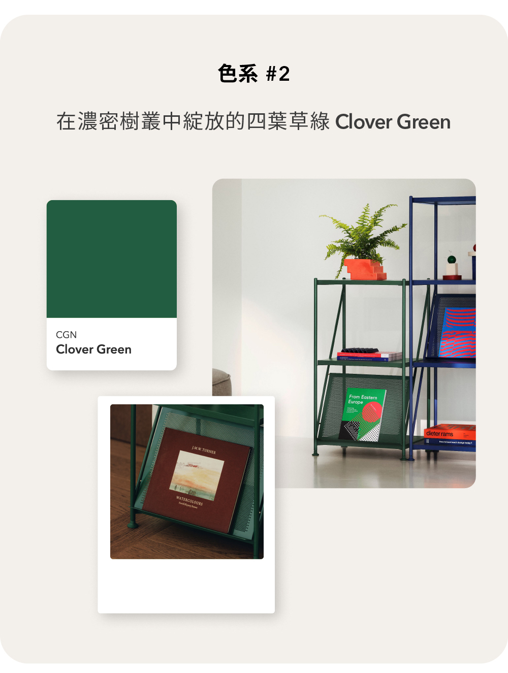 色系 2 在濃密樹叢中綻放的四葉草綠 Clover Green 