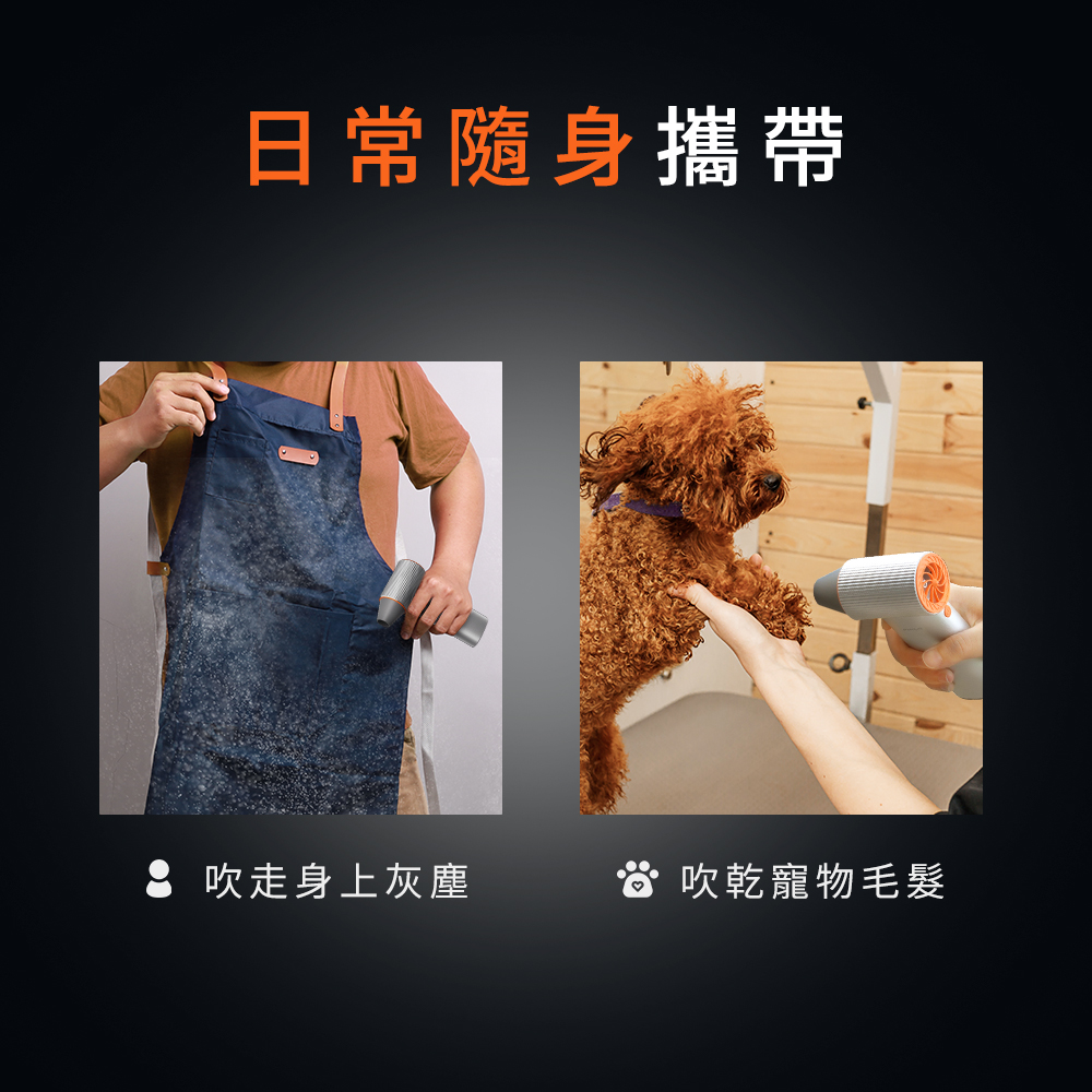 æ¥å¸¸é¨èº«æå¸¶ å¹èµ°èº«ä¸ç°å¡µ å¹ä¹¾å¯µç©æ¯é«® 