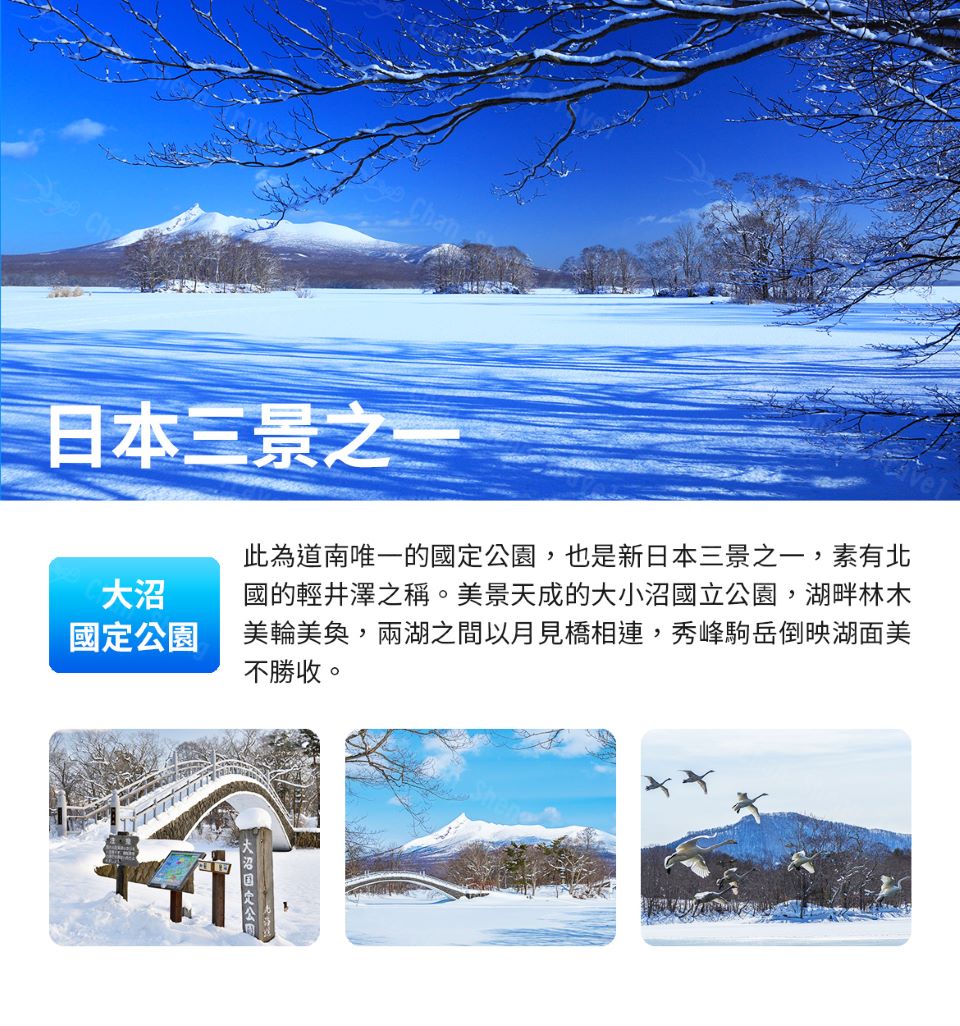 樂遊北海道 溫泉三大蟹吃到飽六日評價推薦