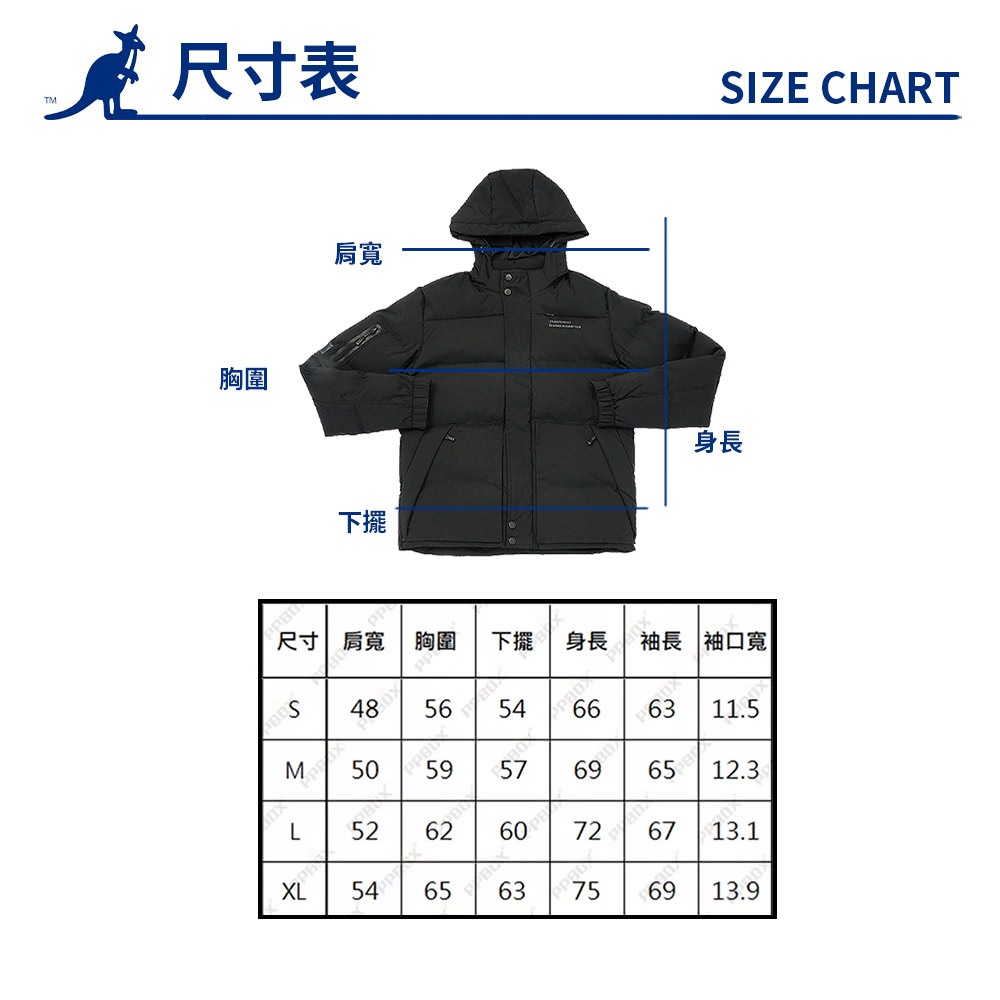尺寸 肩寬 胸圍 下擺 身長 袖長 袖口寬