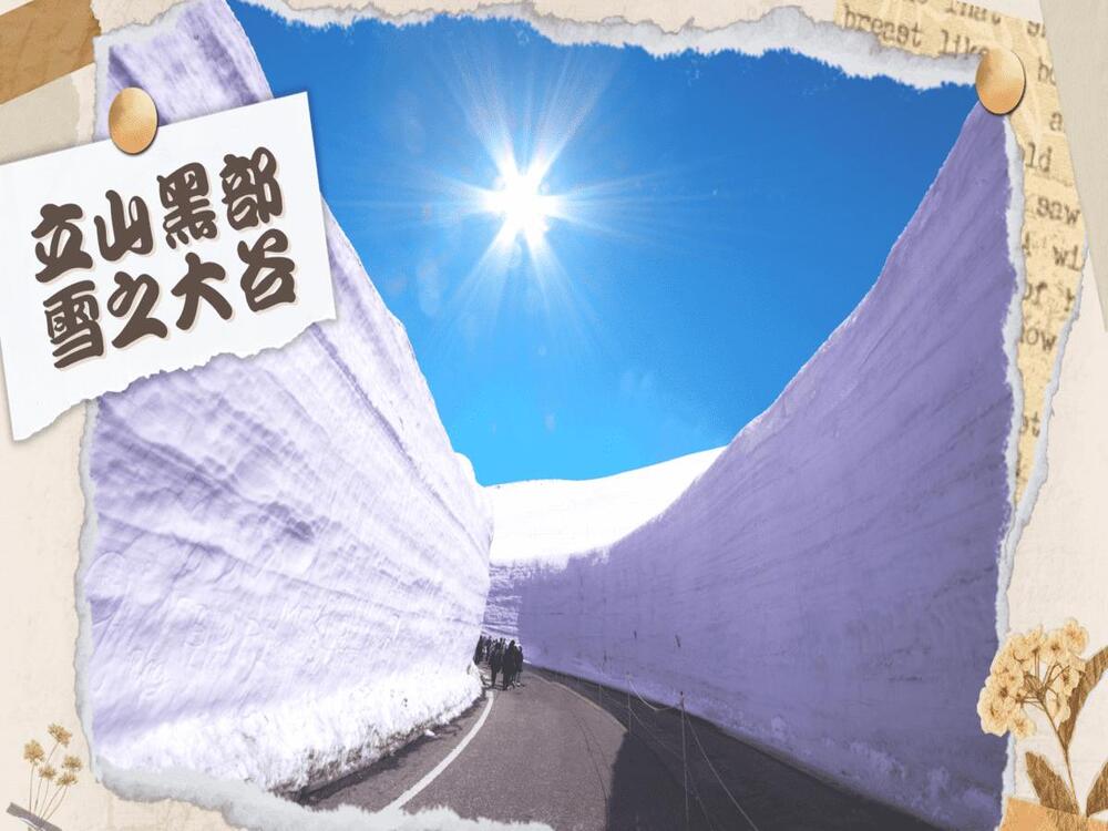 吉航旅遊 精緻假期2025立山黑部合掌村上高地河口湖粉蝶花紫