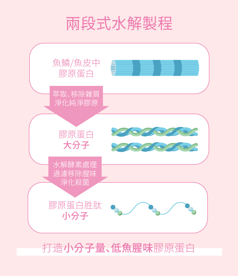 打造小分子量、低魚腥味膠原蛋白