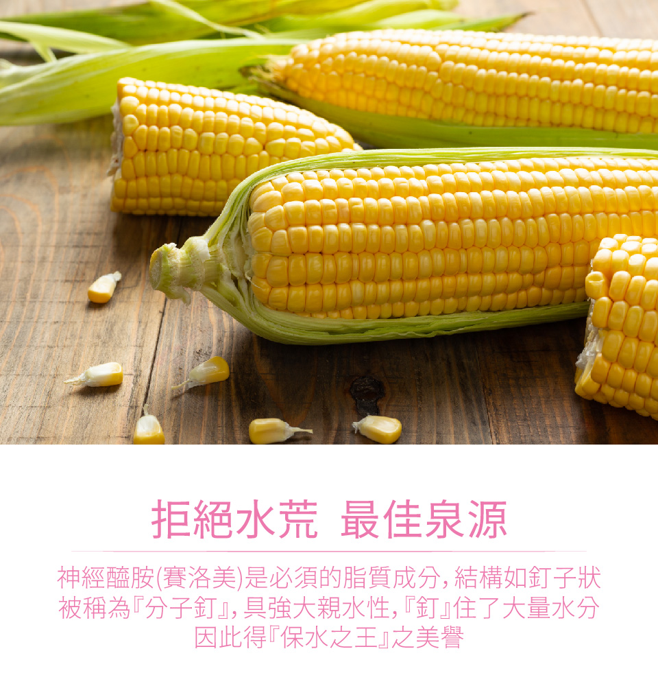 拒絕水荒 最佳泉源 神經醯胺賽洛美是必須的脂質成分,結構如釘子狀 被稱為分子釘,具強大親水性,釘住了大量水分 因此得保水之王之美譽 