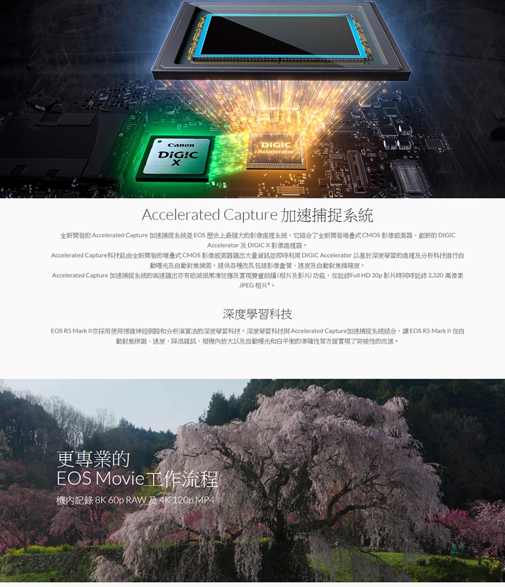 Canon EOS R5 Mark II BODY 單機身 
