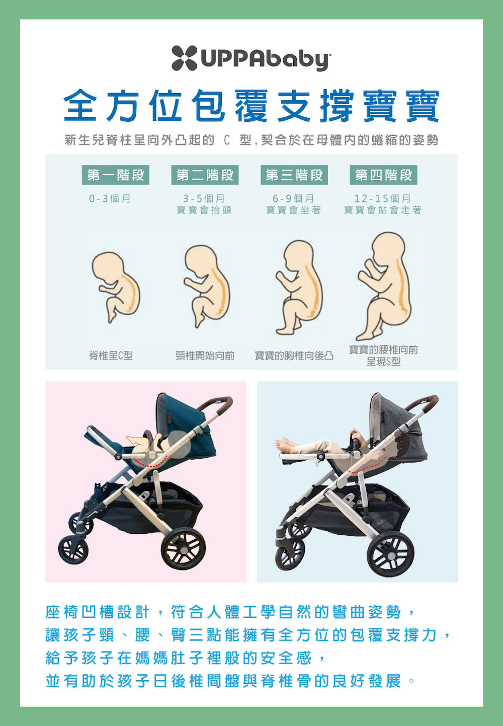 新生兒脊柱呈向外凸起的C型,契合於在母體內的蜷縮的姿勢