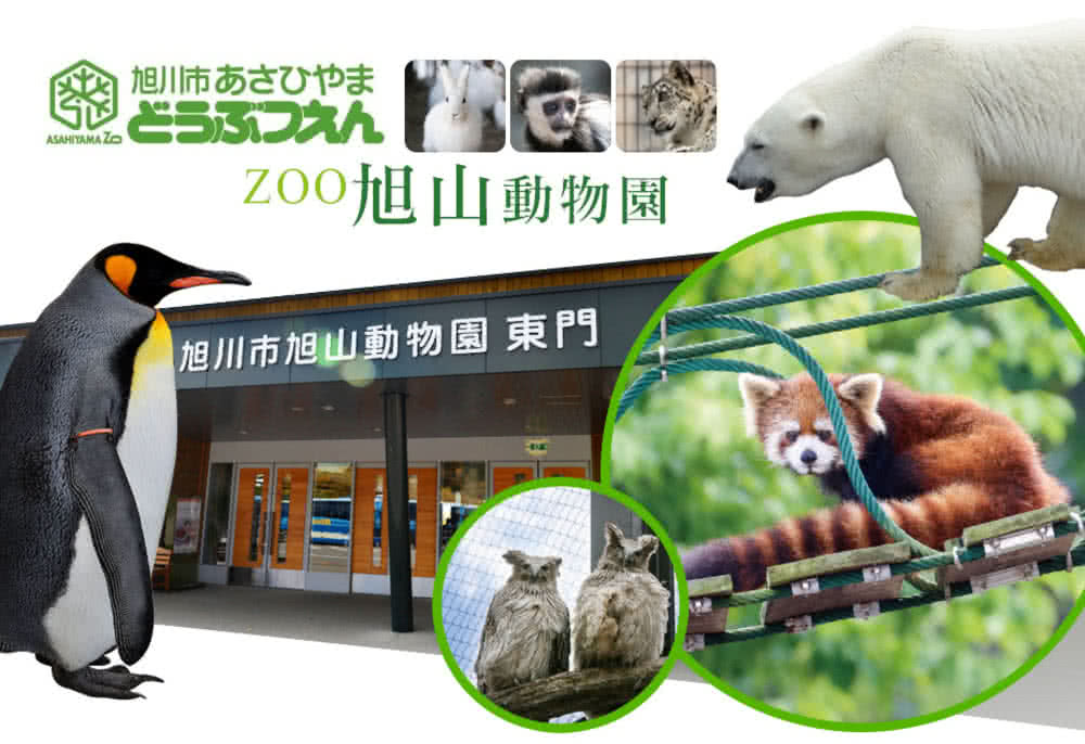 喜鴻假期 【浪漫相遇北海道５日】升等札幌萬怡、旭山動物園、小