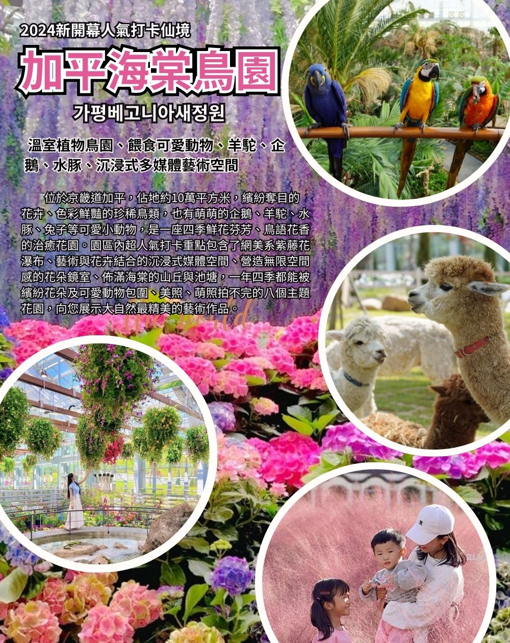 韓國五星首爾諾富特二連泊五日 加平海棠鳥園.芝山滑雪.樂天世