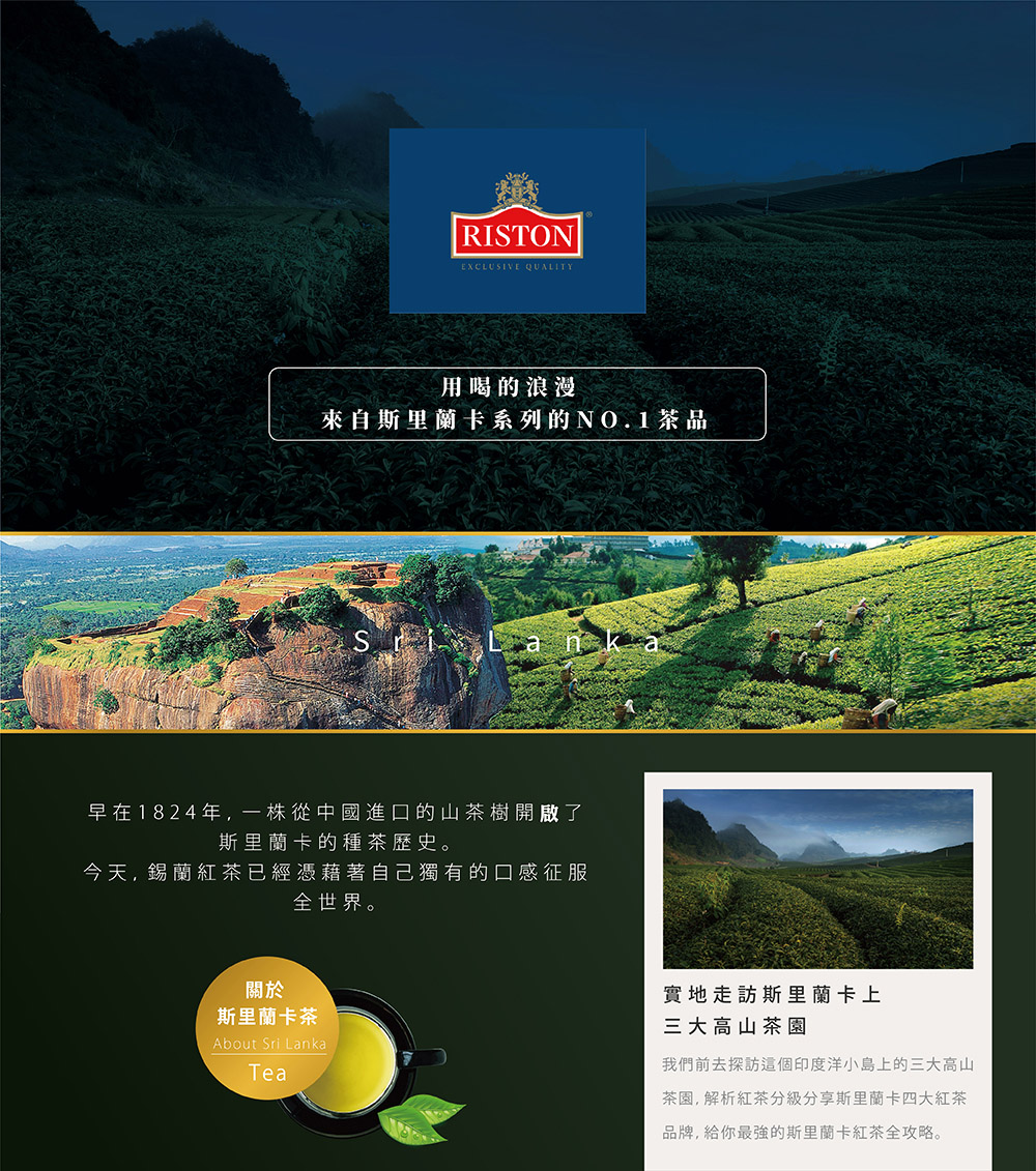 早在1824年,一株從中國進口的山茶樹開啟了