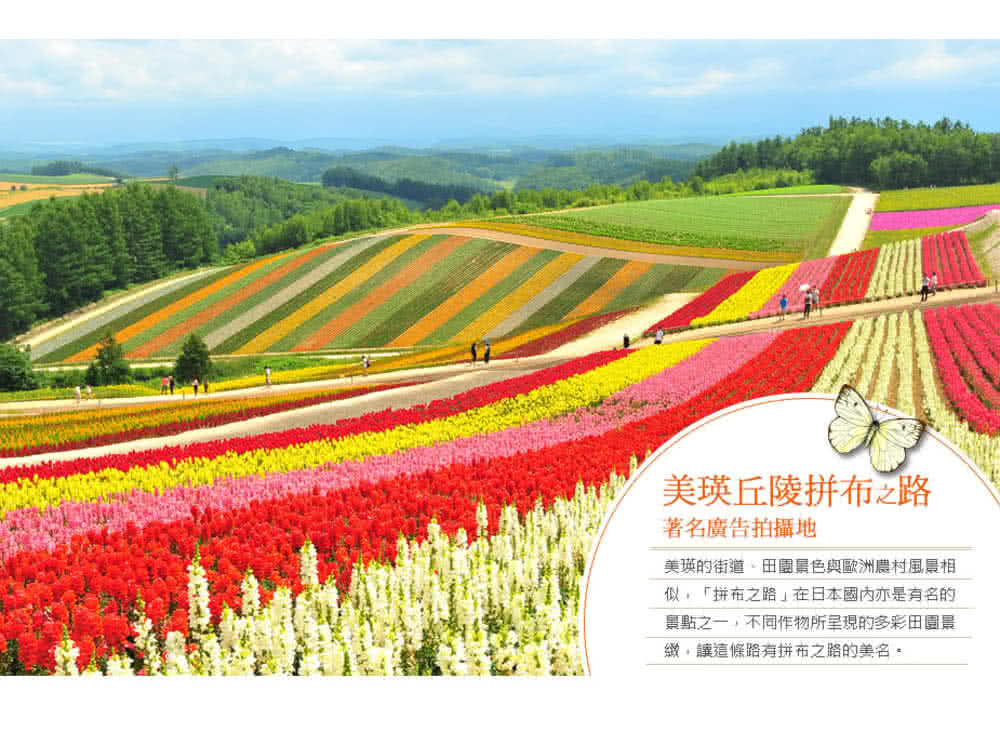 喜鴻假期 【酷遊FUN暑假北海道６日】函館百萬夜景、富良野花