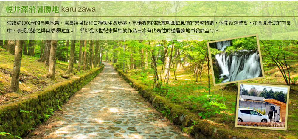 喜鴻假期 【高雄出發．東京三色趴５日】紫藤花、芝櫻、夢幻粉蝶