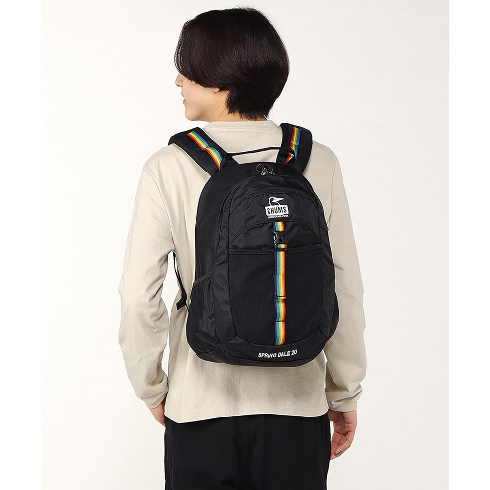 CHUMS CHUMS 休閒 Spring Dale 20後