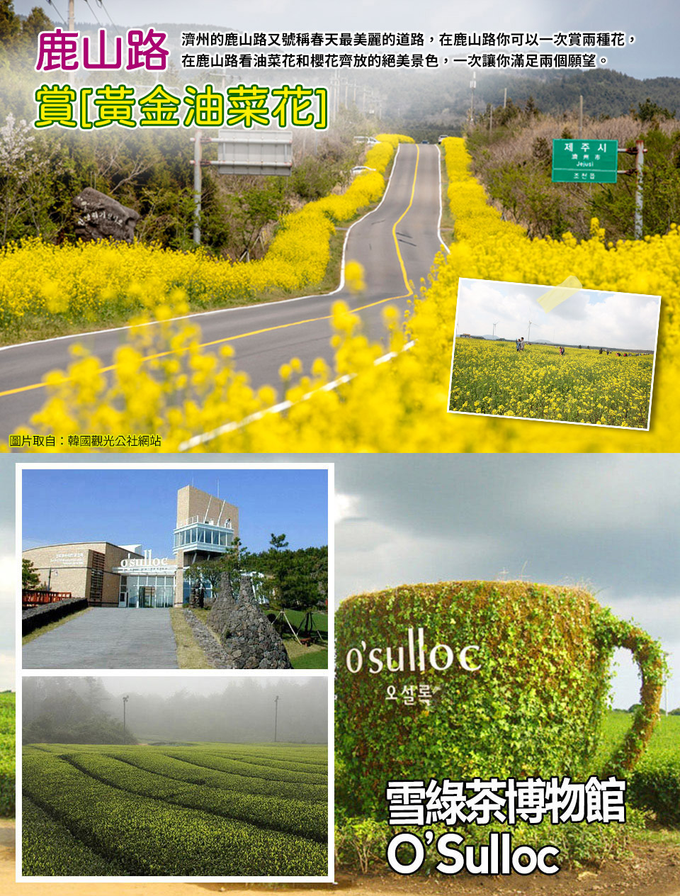 3~6月出發↘ 易起享玩濟州五日~汗蒸幕、騎駱駝、泰迪熊、鮑