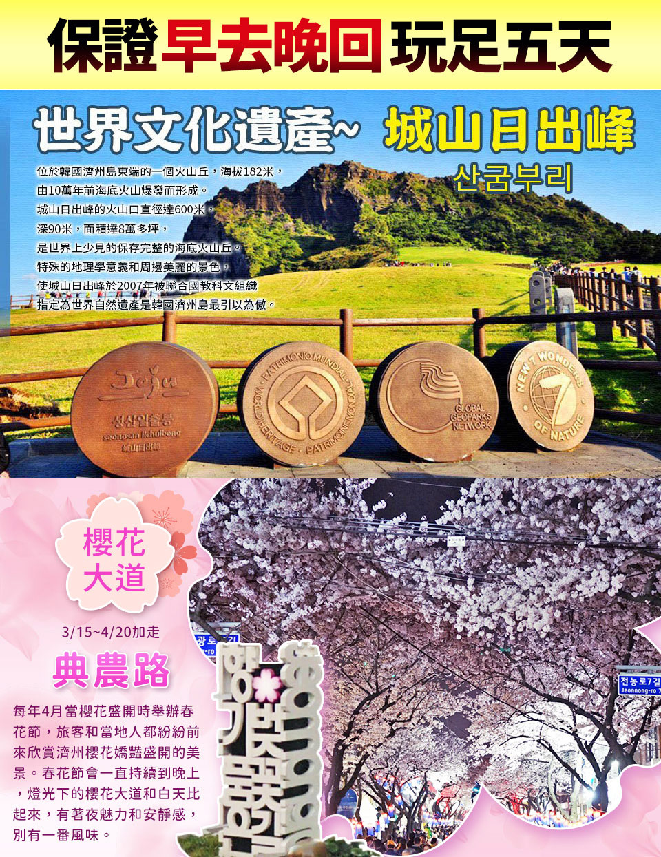 3/20-4/15賞櫻限定↘ 濟州春櫻君悅五日~櫻花隧道、牛