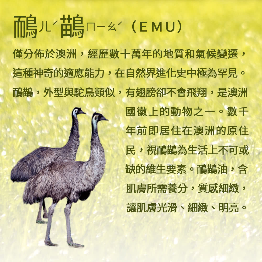 Jollyard 潔麗雅 鴯潤膚組合(沐浴乳1000ml 