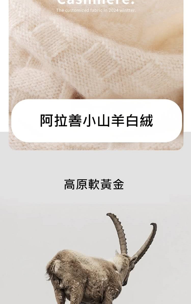 阿拉善小山羊白絨 高原軟黃金 