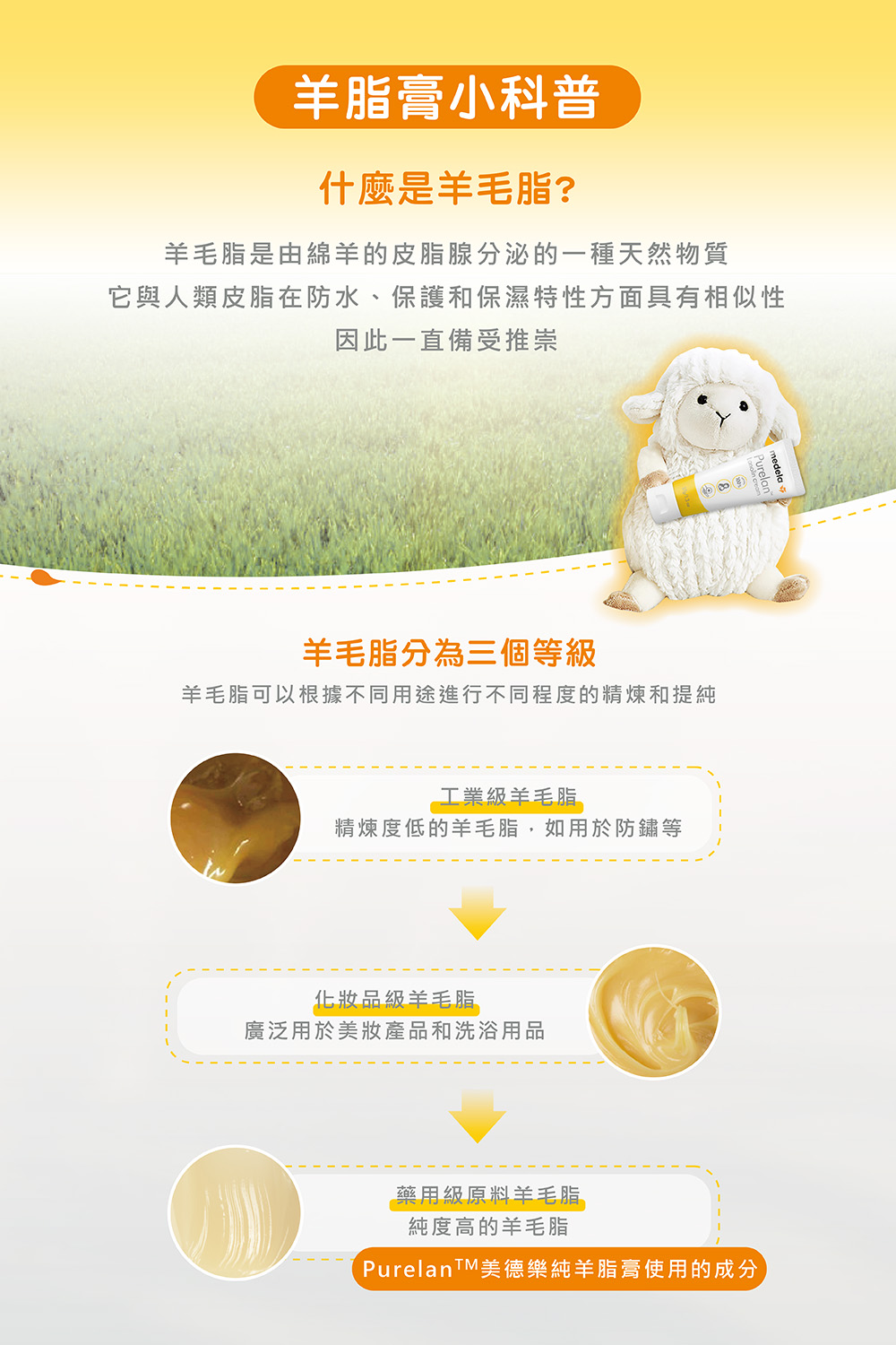 它與人類皮脂在防水、保護和保濕特性方面具有相似性