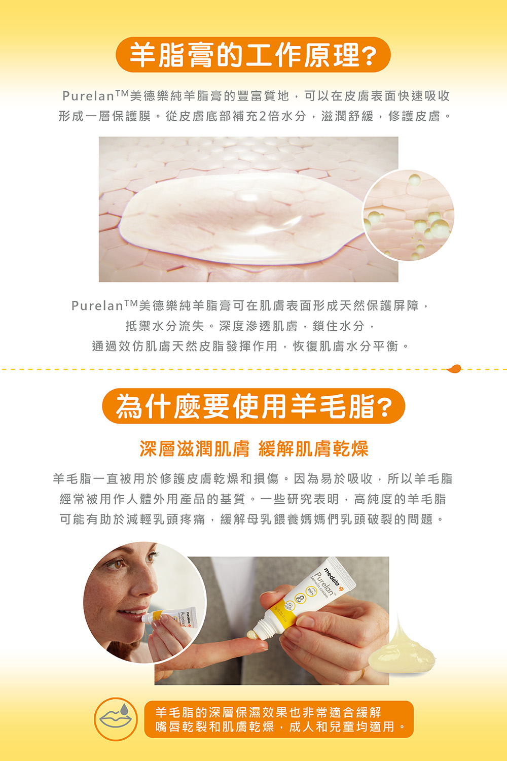 PurelanTM美德樂純羊脂膏的豐富質地,可以在皮膚表面快速吸收