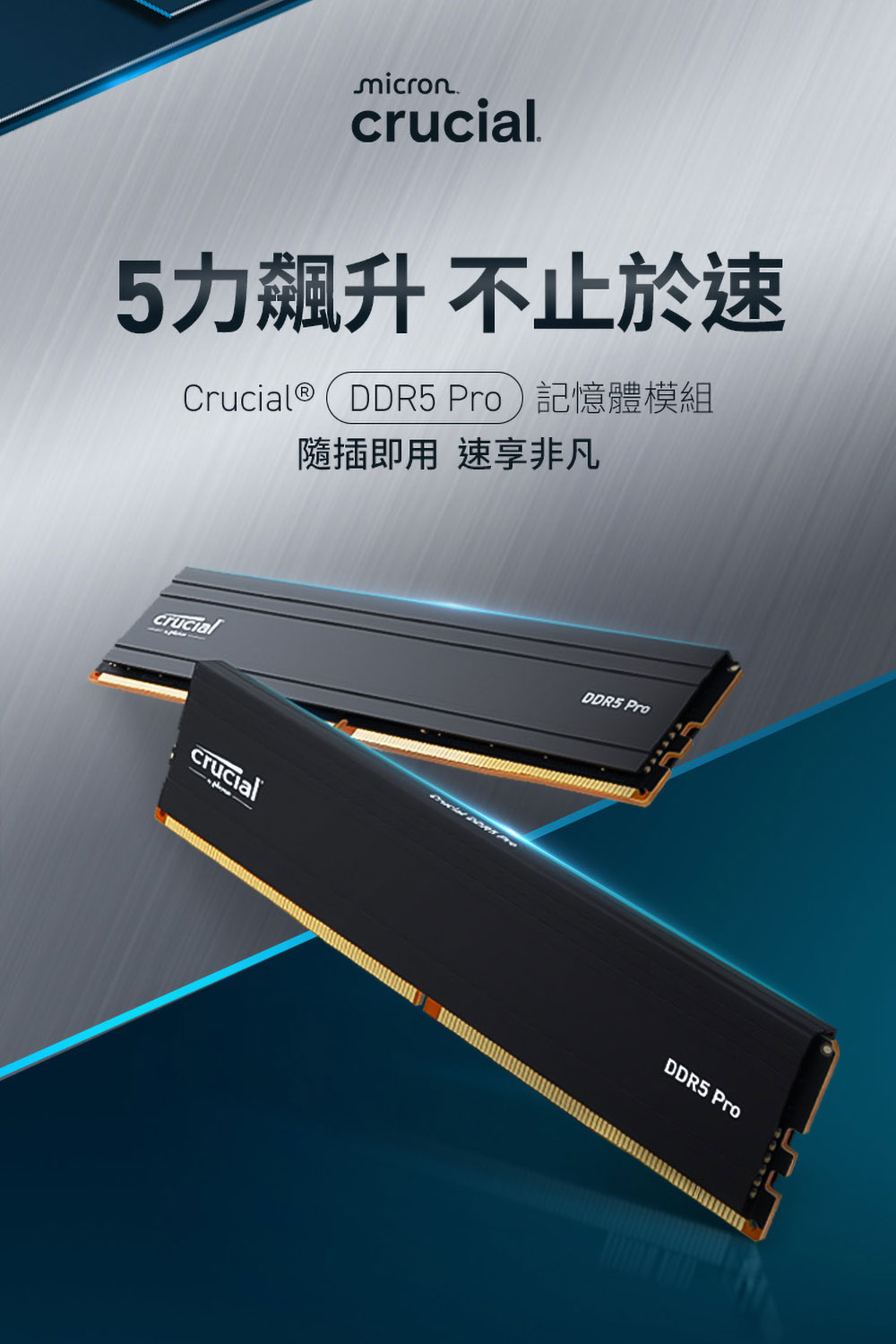 5力飆升 不止於速 CrucialDDR5 Pro記憶體模組 隨插即用 速享非凡 