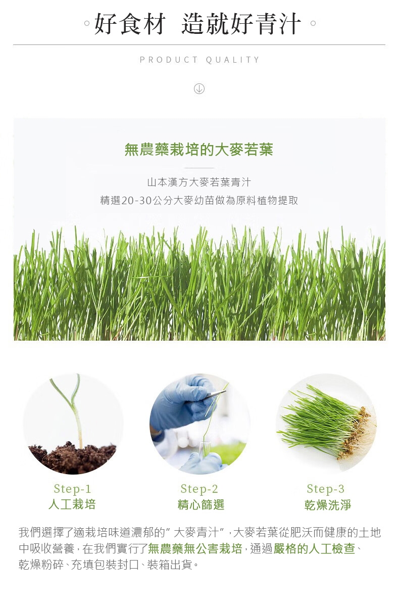 我們選擇了適栽培味道濃郁的 大麥青汁,大麥若葉從肥沃而健康的土地
