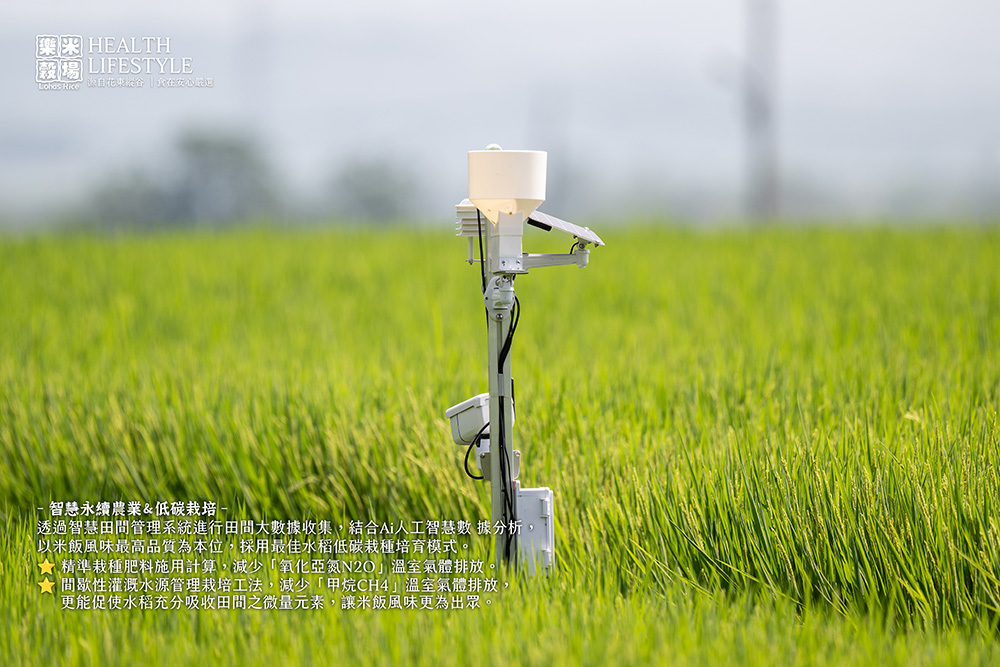 透過智慧田間管理系統進行田間大數據收集,結合Ai人工智慧數 據分析,