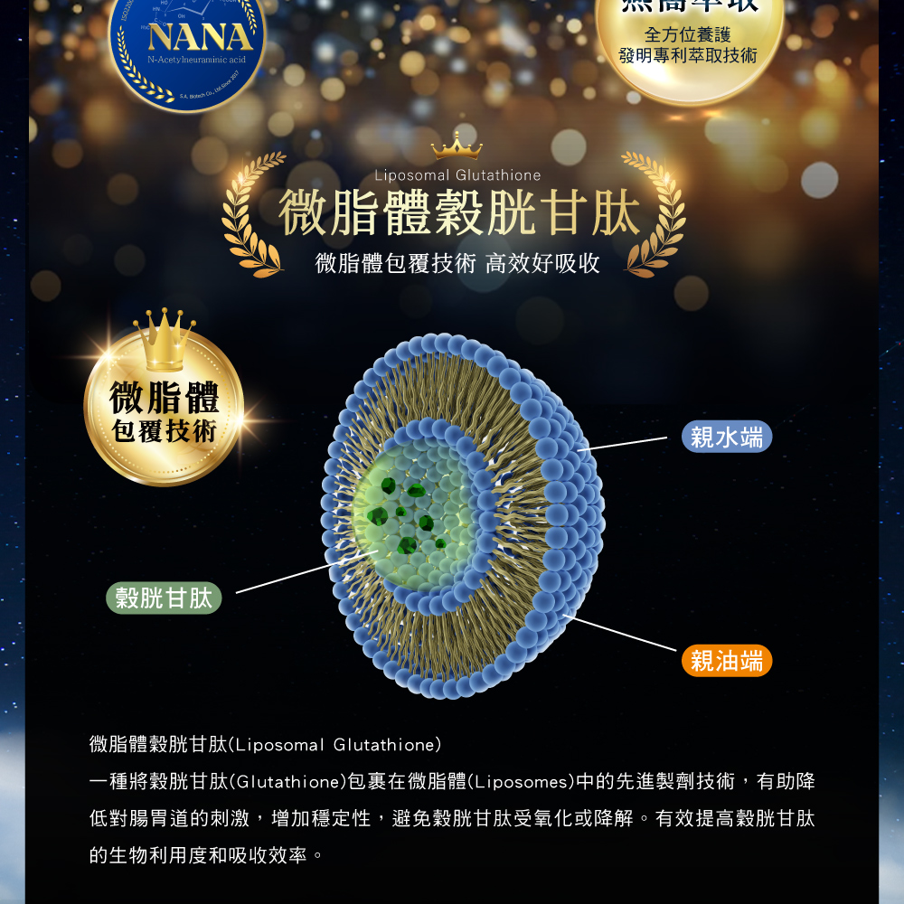 一種將穀胱甘肽Glutathione包裹在微脂體Liposomes中的先進製劑技術,有助降