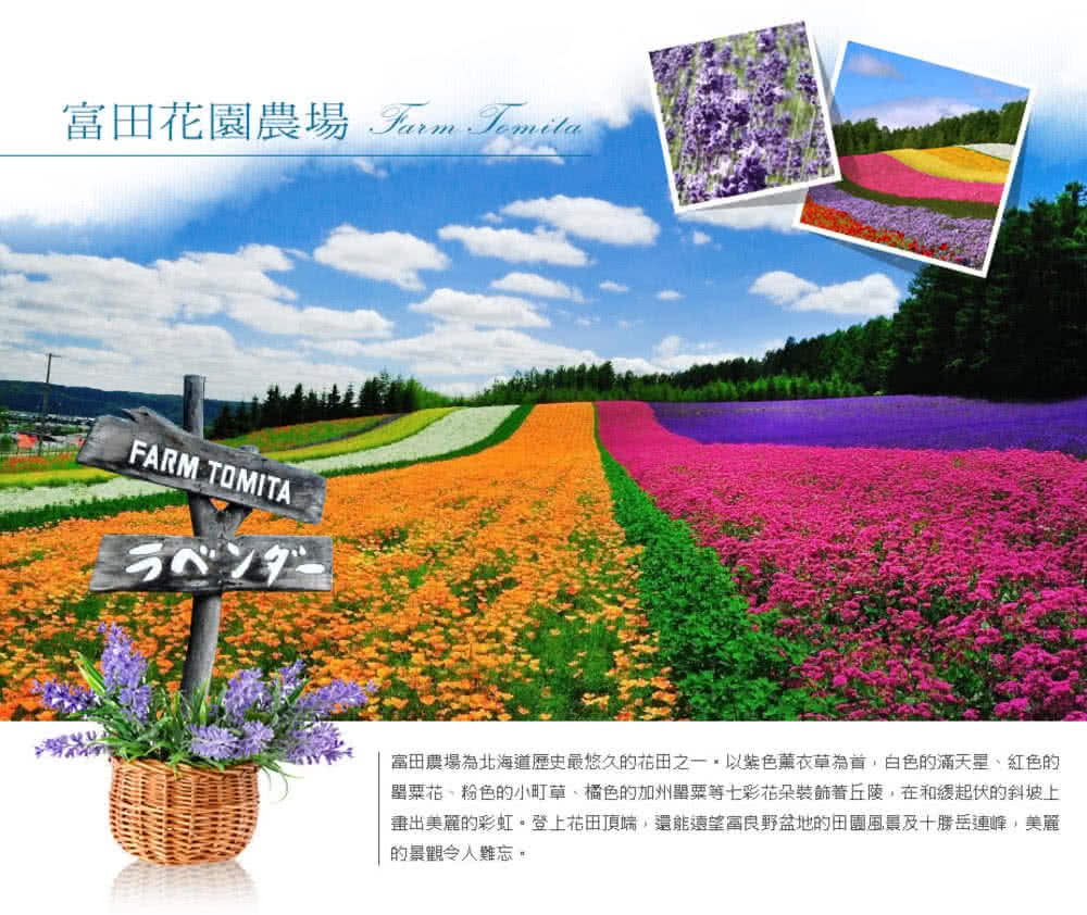 喜鴻假期 【紫愛星野北海道５日】富良野、蔚藍積丹、新三景纜車