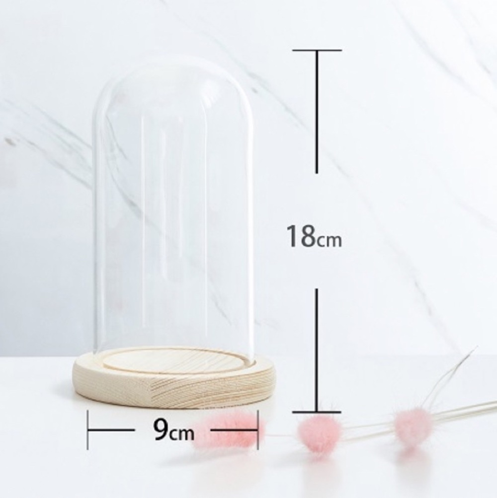 無名精選 永生花 玻璃罩 花盅-小(不含花 展示盒 桌面擺件