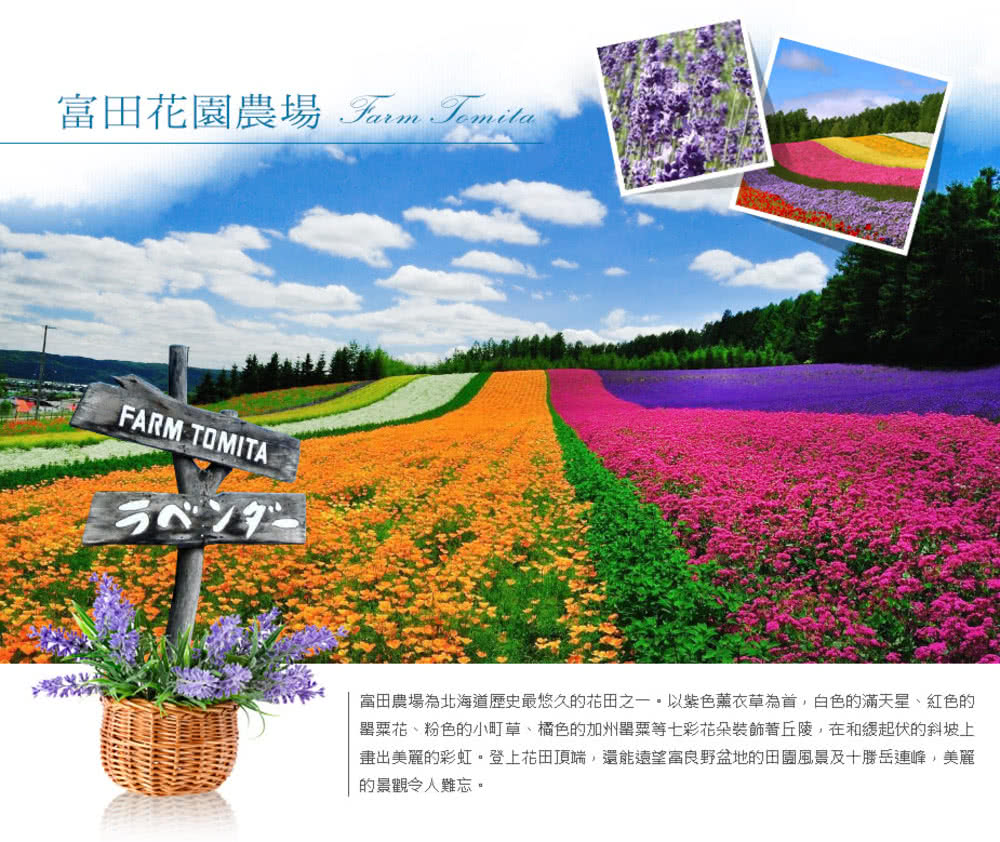 喜鴻假期 【舞動花海北海道５日】北海肚臍祭、絕景青池、薰衣草