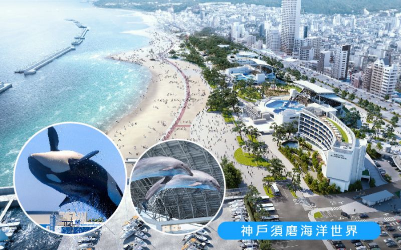 繽紛星體驗.關西四都5日 神戶須磨海洋世界.嵐山叮叮車.清水