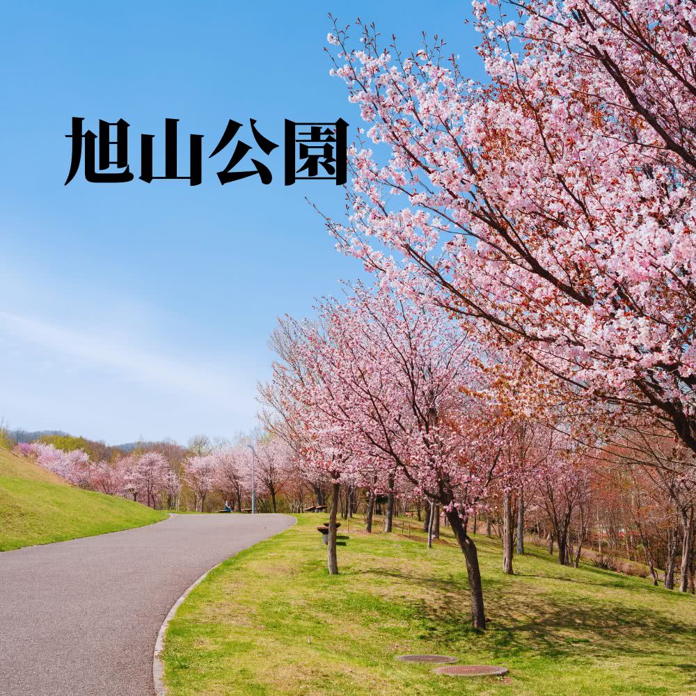 北海道留壽都賞櫻趣五日 北海道神功、大雪山公園、羊蹄山名水(