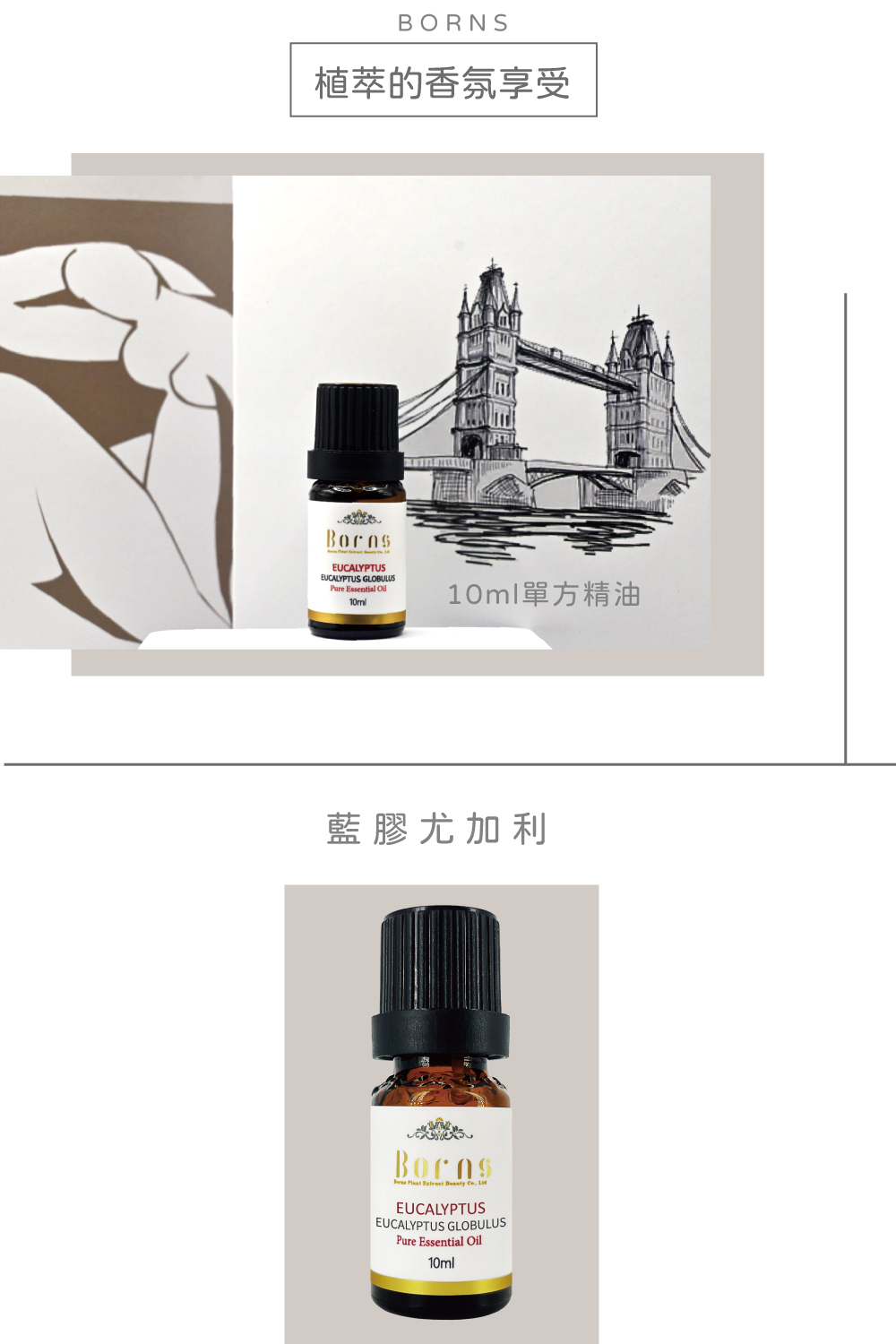 Borns 博恩詩植萃 藍膠尤加利精油 EUCALYPTUS
