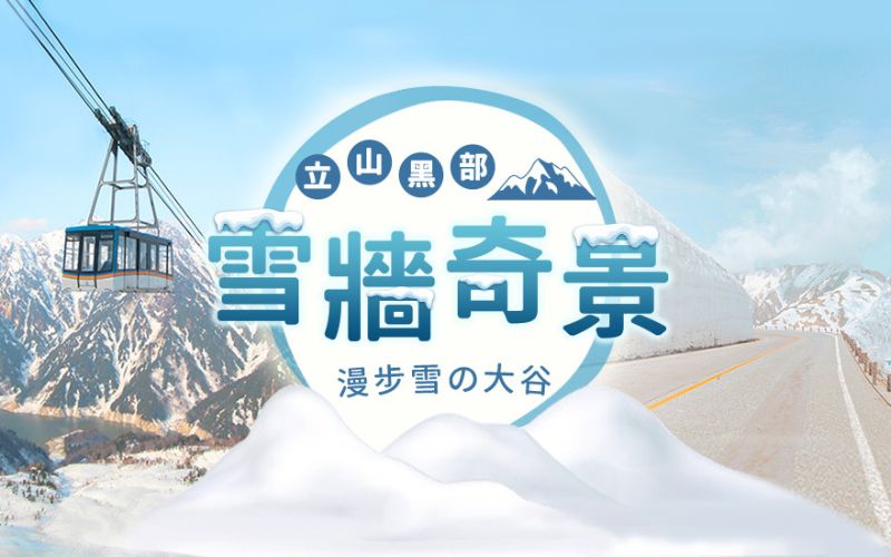 北陸立山黑部雪壁 初夏繡球花季.牧歌高原花卉.風早之里.合掌