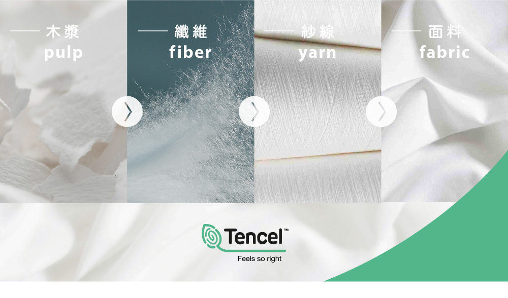 奇哥 比得兔 幼童裝 花精靈女童三角褲/內褲2入組-銀離子抗