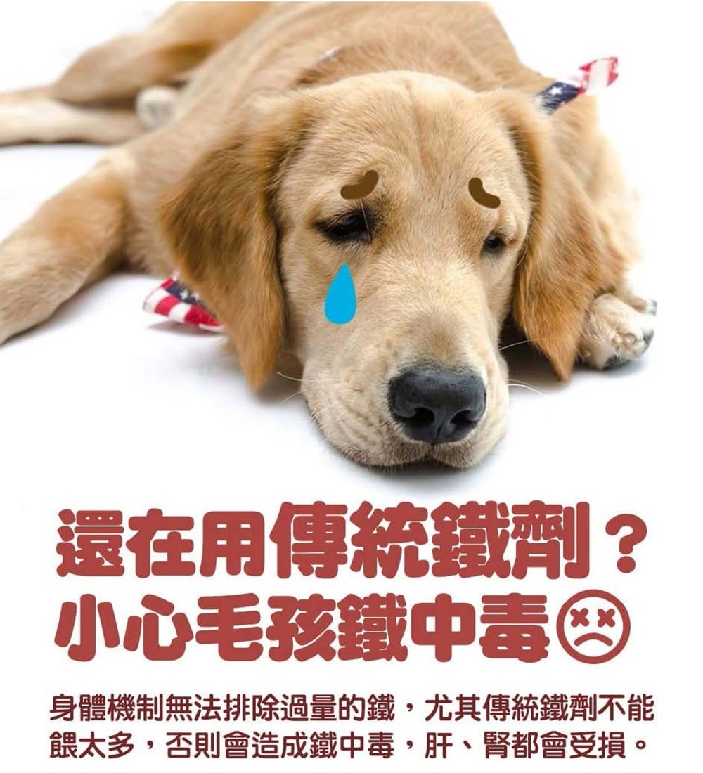 現代百益康 元氣補血錠-小型犬貓 60顆(寵物保健/泌尿系統