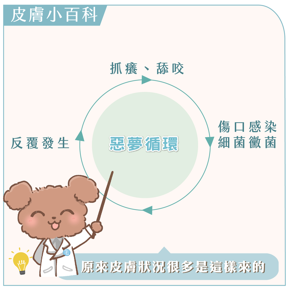 GOODMO 歸毛家族 舒敏保濕洗毛乳300ML+護膚噴液+