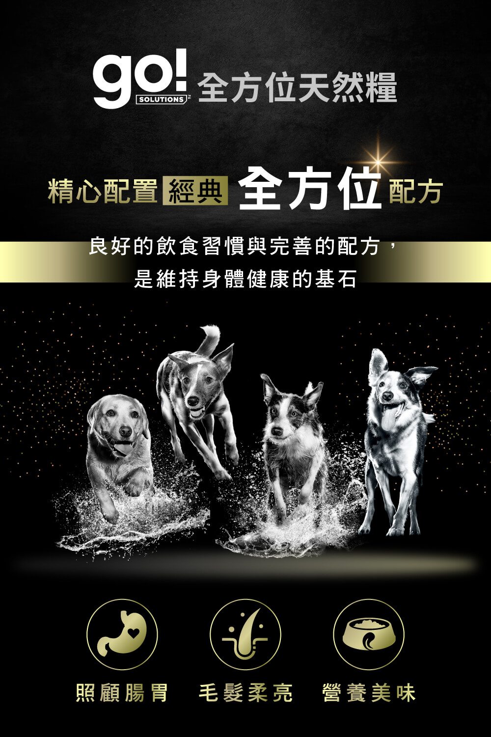 Go! 全方位系列 12磅 狗狗天然糧(狗糧 狗飼料 全齡犬