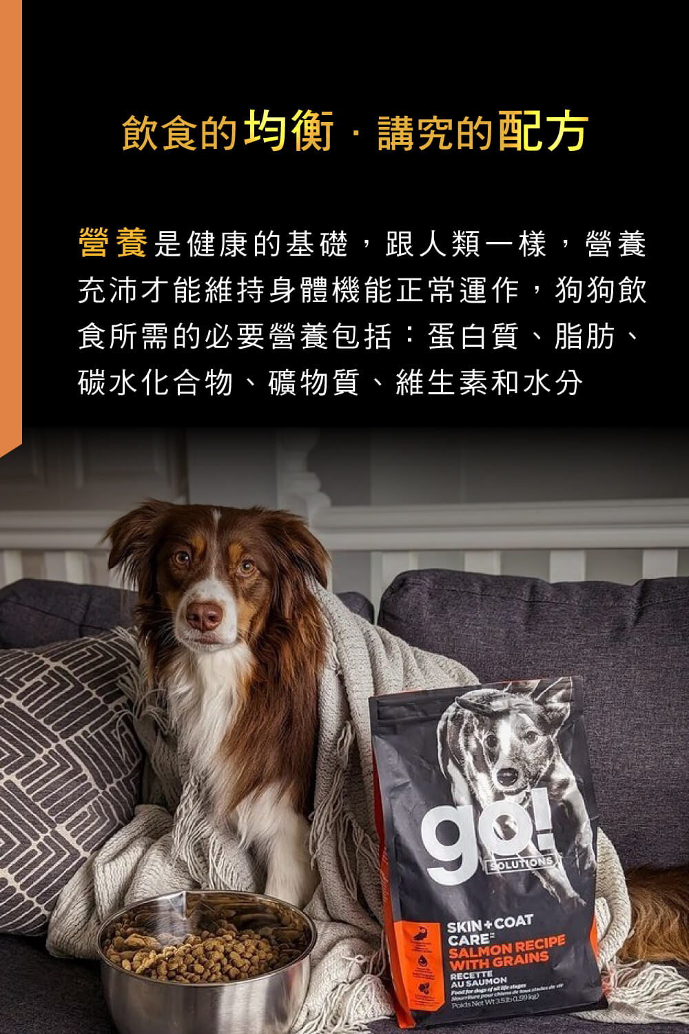 Go! 全方位系列 12磅 狗狗天然糧(狗糧 狗飼料 全齡犬