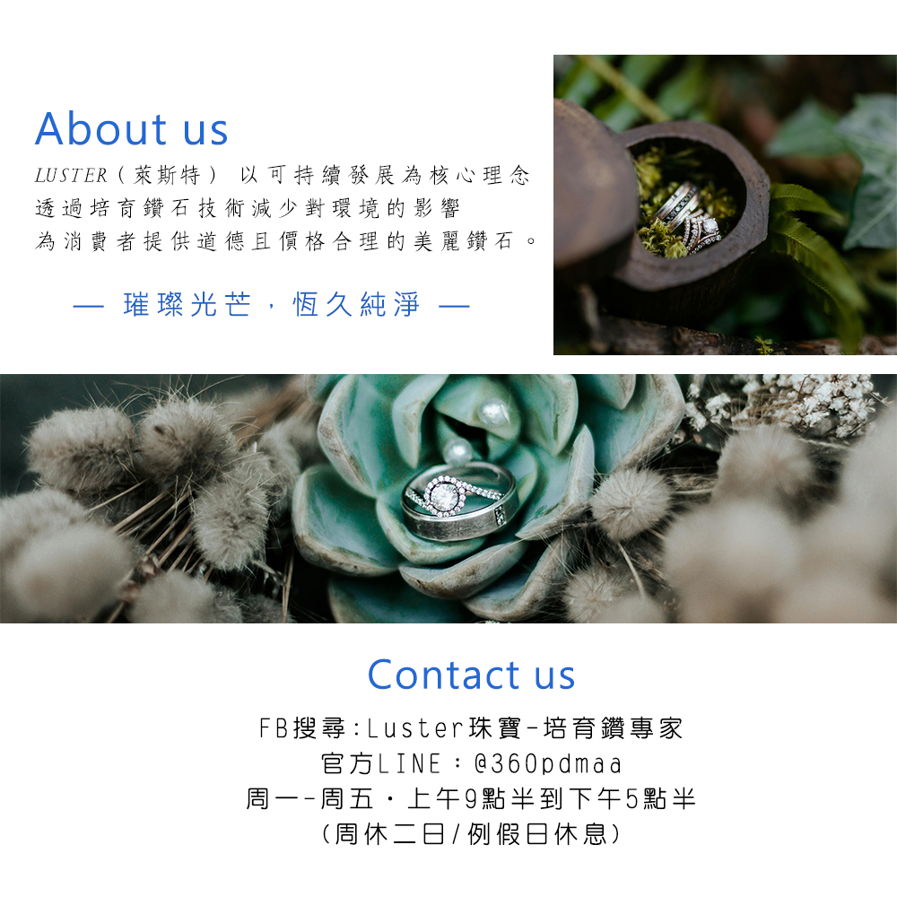 LUSTER 萊斯特以可持續發展為核心理念