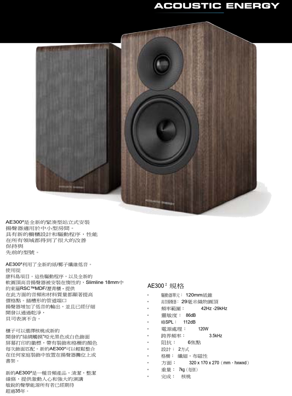 Acoustic Energy AE300MK2 - 詳情1