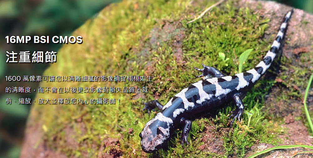 KODAK柯達 PIXPRO WPZ2 - 詳情5