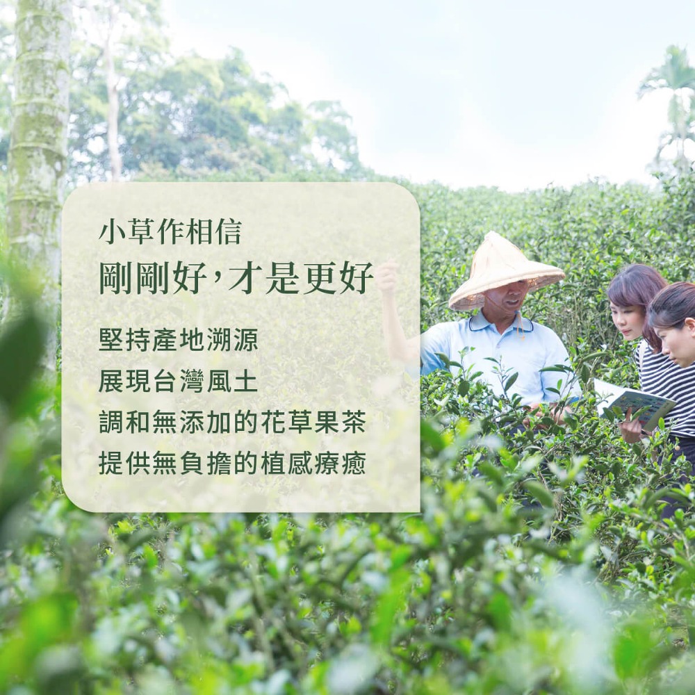 調和無添加的花草果茶