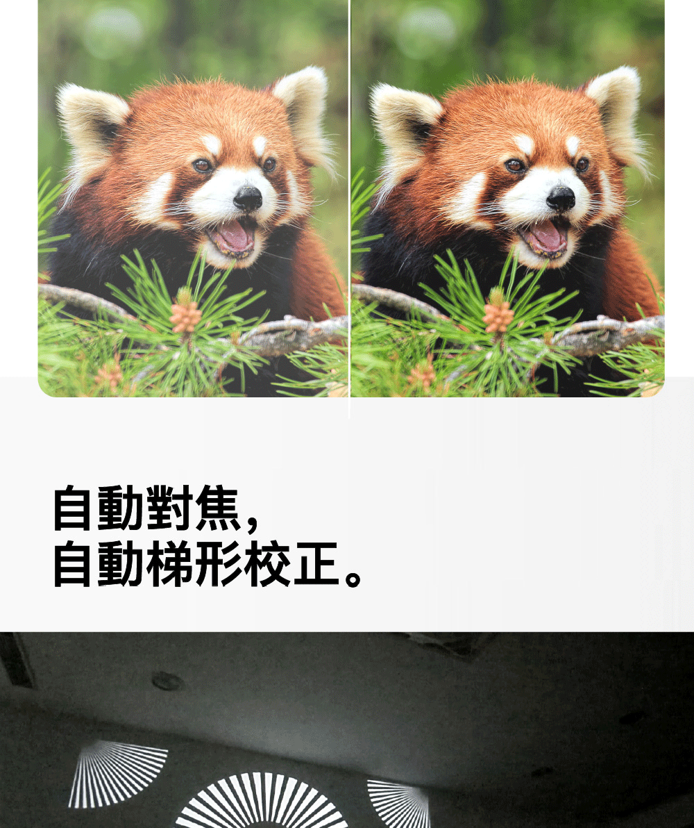 自動對焦, 自動梯形校正。 